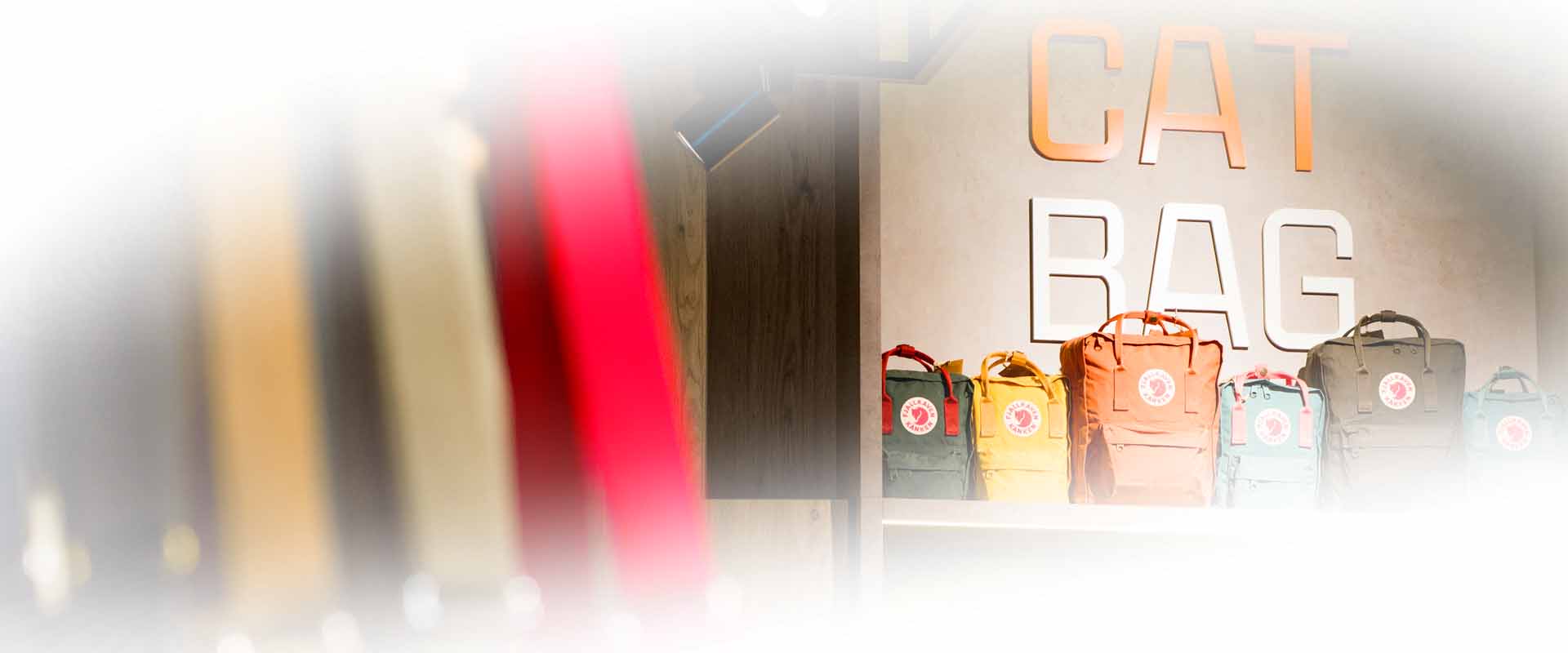 CATBAGSLIDER5c5f1
